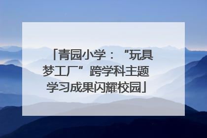 青园小学：“玩具梦工厂”跨学科主题学习成果闪耀校园