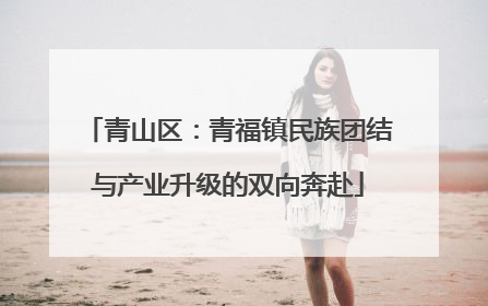 青山区：青福镇民族团结与产业升级的双向奔赴