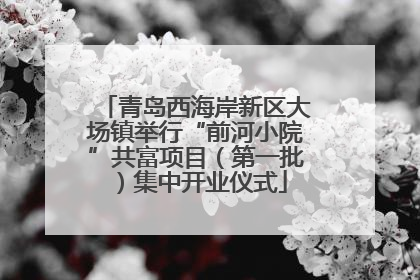 青岛西海岸新区大场镇举行“前河小院”共富项目（第一批）集中开业仪式