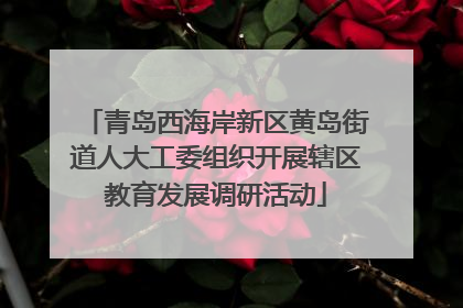 青岛西海岸新区黄岛街道人大工委组织开展辖区教育发展调研活动