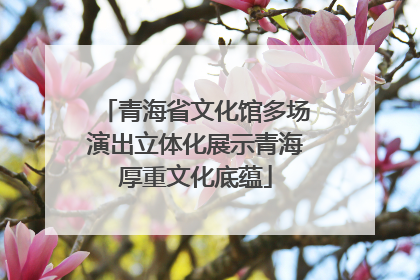 青海省文化馆多场演出立体化展示青海厚重文化底蕴