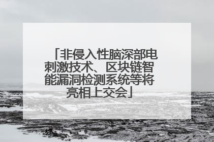 非侵入性脑深部电刺激技术、区块链智能漏洞检测系统等将亮相上交会