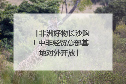 非洲好物长沙购！中非经贸总部基地对外开放