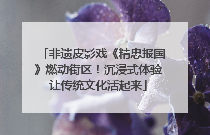 非遗皮影戏《精忠报国》燃动街区！沉浸式体验让传统文化活起来