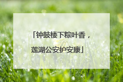 钟鼓楼下粽叶香，莲湖公安护安康