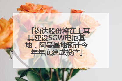 钧达股份将在土耳其建设5GW电池基地，阿曼基地预计今年年底建成投产