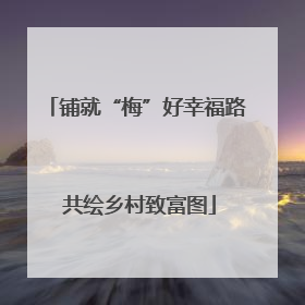 铺就“梅”好幸福路 共绘乡村致富图