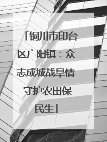 铜川市印台区广阳镇：众志成城战旱情 守护农田保民生