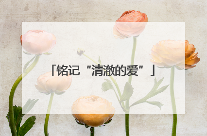 铭记“清澈的爱”