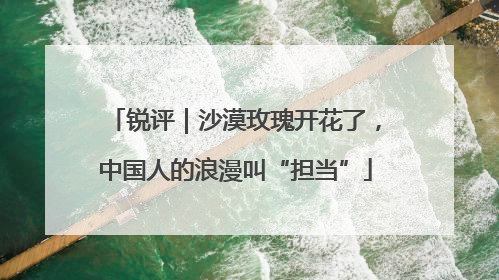 锐评｜沙漠玫瑰开花了，中国人的浪漫叫“担当”