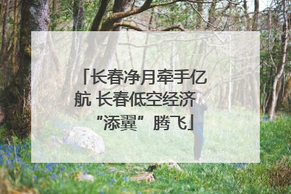 长春净月牵手亿航 长春低空经济“添翼”腾飞
