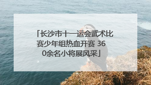 长沙市十一运会武术比赛少年组热血开赛 360余名小将展风采