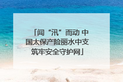 闻“汛”而动 中国太保产险丽水中支筑牢安全守护网