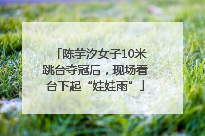 陈芋汐女子10米跳台夺冠后，现场看台下起“娃娃雨”
