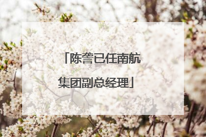 陈詟已任南航集团副总经理