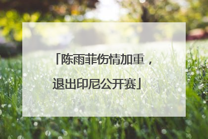 陈雨菲伤情加重，退出印尼公开赛