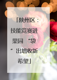 陕州区：技能竞赛进果园 “袋”出增收新希望
