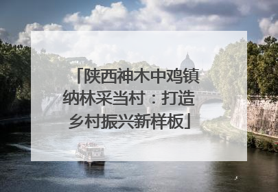 陕西神木中鸡镇纳林采当村：打造乡村振兴新样板