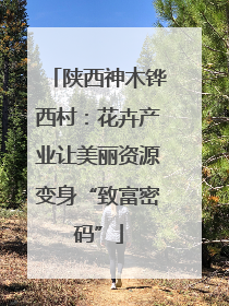 陕西神木铧西村：花卉产业让美丽资源变身“致富密码”