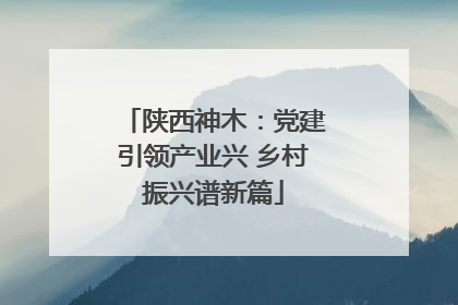 陕西神木：党建引领产业兴 乡村振兴谱新篇