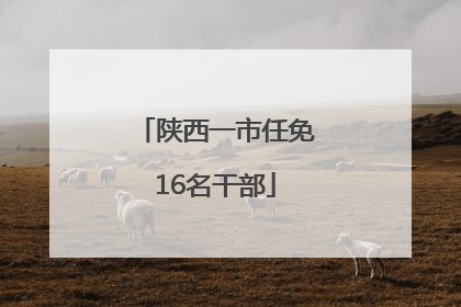 陕西一市任免16名干部