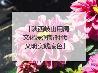 陕西岐山用周文化浸润新时代文明实践底色