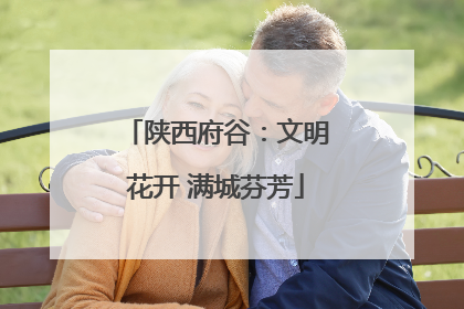 陕西府谷：文明花开 满城芬芳