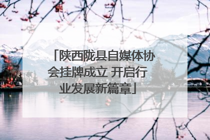 陕西陇县自媒体协会挂牌成立 开启行业发展新篇章