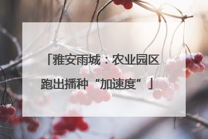 雅安雨城：农业园区跑出播种“加速度”