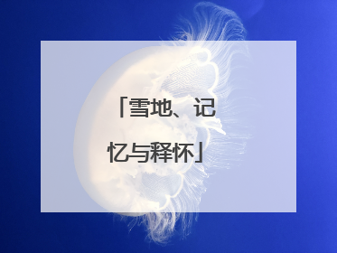 雪地、记忆与释怀