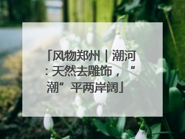 风物郑州｜潮河：天然去雕饰，“潮”平两岸阔
