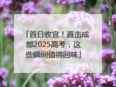 首日收官！直击成都2025高考，这些瞬间值得回味