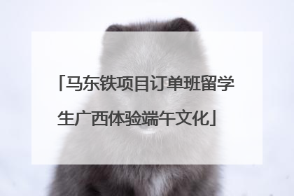 马东铁项目订单班留学生广西体验端午文化