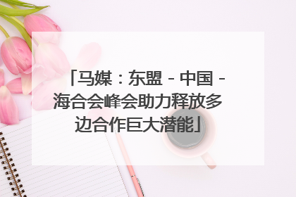 马媒：东盟－中国－海合会峰会助力释放多边合作巨大潜能