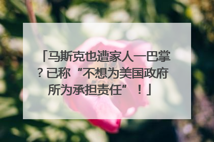 马斯克也遭家人一巴掌？已称“不想为美国政府所为承担责任”！