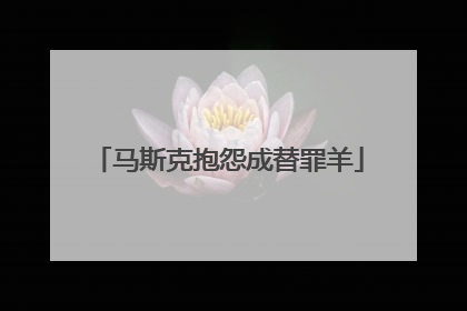 马斯克抱怨成替罪羊
