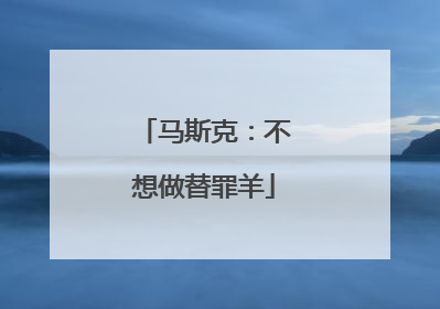 马斯克：不想做替罪羊