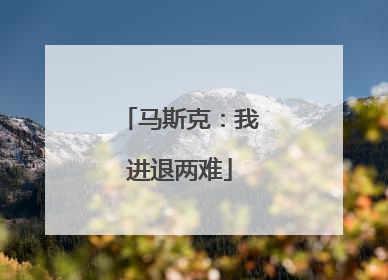 马斯克：我进退两难