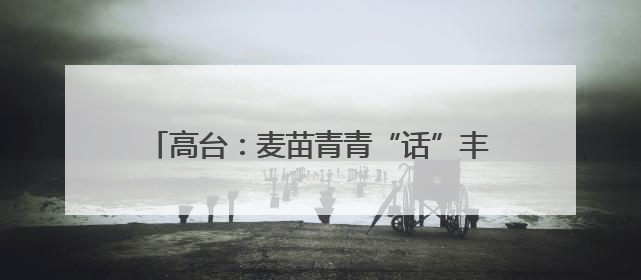 高台：麦苗青青“话”丰收 粮田孕育新“丰”景