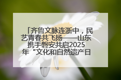 齐鲁文脉连浙中，民艺青春共飞扬——山东携手磐安共启2025年“文化和自然遗产日”系列活动