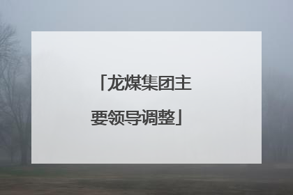 龙煤集团主要领导调整