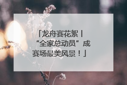 龙舟赛花絮丨 “全家总动员”成赛场最美风景！