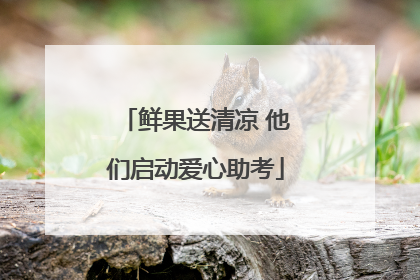 鲜果送清凉 他们启动爱心助考
