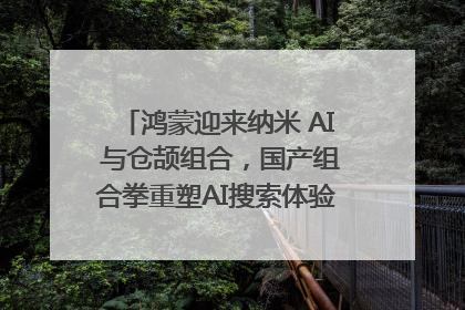 鸿蒙迎来纳米 AI 与仓颉组合，国产组合拳重塑AI搜索体验｜新经济观察