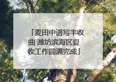 麦田中谱写丰收曲 潍坊滨海区夏收工作圆满完成