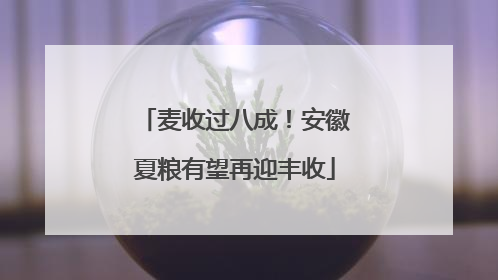 麦收过八成！安徽夏粮有望再迎丰收