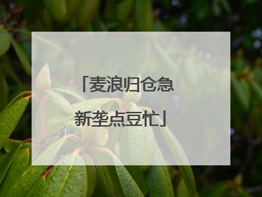 麦浪归仓急 新垄点豆忙
