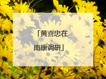 黄喜忠在南康调研