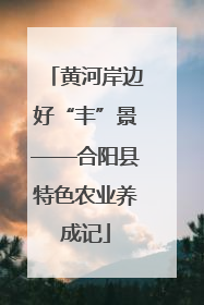 黄河岸边好“丰”景——合阳县特色农业养成记
