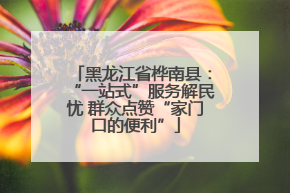 黑龙江省桦南县：“一站式”服务解民忧 群众点赞“家门口的便利”